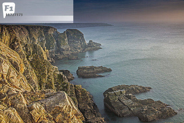 Klippen mit Blick auf den Ozean  South Stack Klippen  Anglesey  Wales