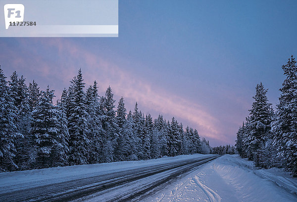 Abgelegene Winterstraße durch verschneite Waldbäume  Lappland  Finnland