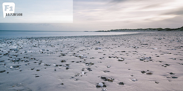 Felsen am ruhigen grauen Strand  Vigsoe  Dänemark