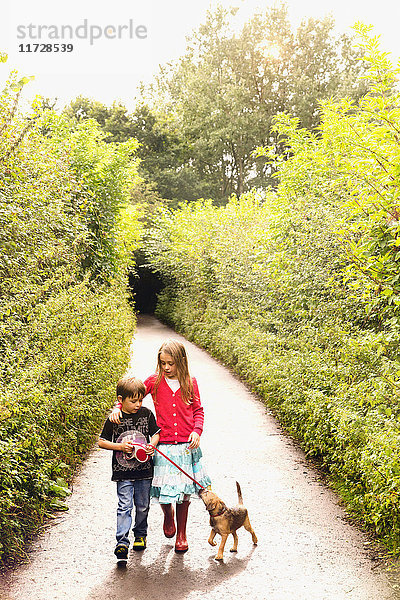 Junge und Mädchen Bruder und Schwester gehen Welpe Hund an der Leine auf Baum gesäumten Park Weg