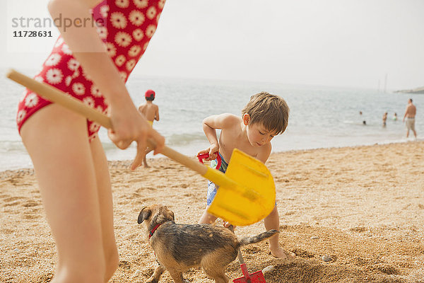 Junge und Mädchen Bruder und Schwester spielen mit Hund und graben in Sand mit Schaufeln am sonnigen Strand