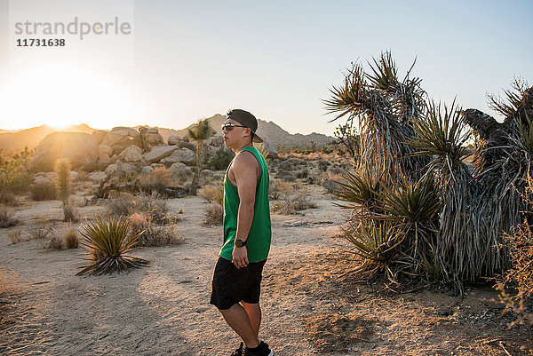 Junger Mann im Joshua-Tree-Nationalpark bei Sonnenuntergang  Kalifornien  USA