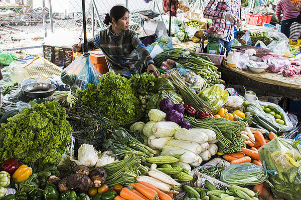 Zentraler Markt  Phnom Penh  Kambodscha  Asien