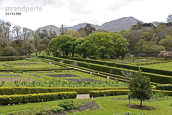 Viktorianischer ummauerter Garten  Kylemore Abbey  Connemara  Grafschaft Galway  Irland  Europa