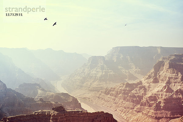 Guano Point  Grand Canyon West  Arizona  USA