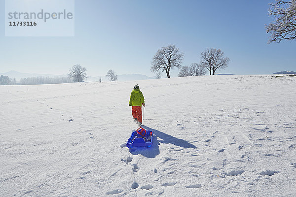 Junge  der im Schnee läuft  Schlitten hinter sich herzieht  Rückansicht