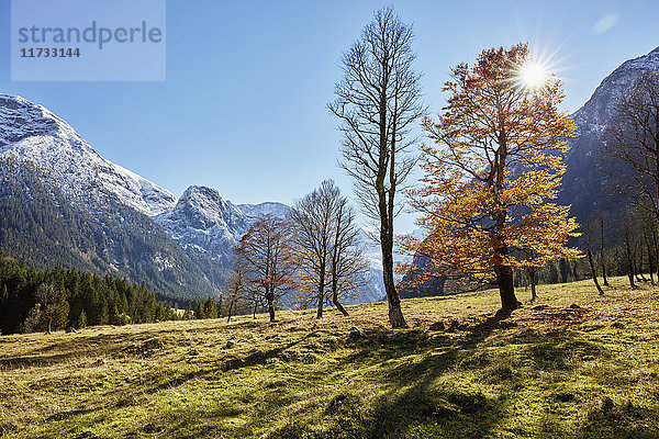 Sonnenreiche Landschaft mit weit entfernten schneebedeckten Bergen  Hinterriss  Tirol  Österreich