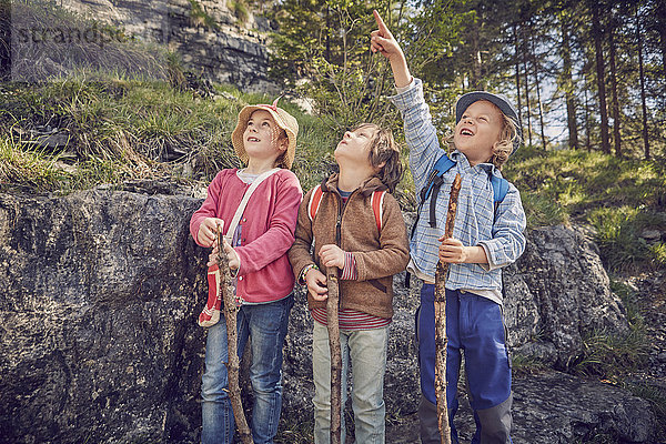 Drei Kinder im Wald  die zusammen stehen und aufschauen