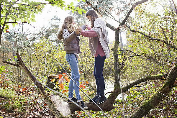 Seitenansicht von Teenager-Mädchen im Wald von Angesicht zu Angesicht  die Hände haltend auf einem umgefallenen Baumstamm balancierend