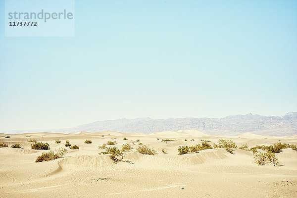 Blick auf die Mesquite-Dünen  Death Valley  Kalifornien  USA