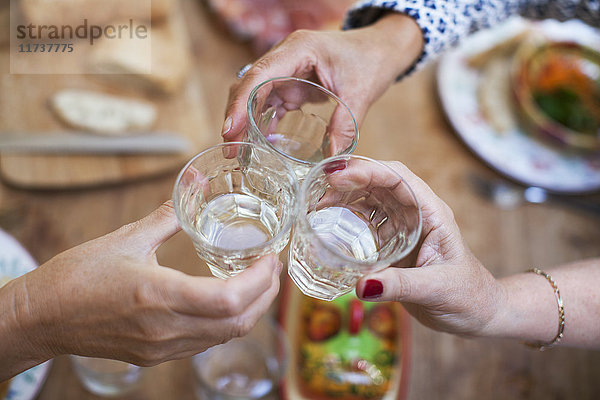 Drei Frauen beim gemeinsamen Mittagessen zu Hause  Trinkspruch  Nahaufnahme der Gläser