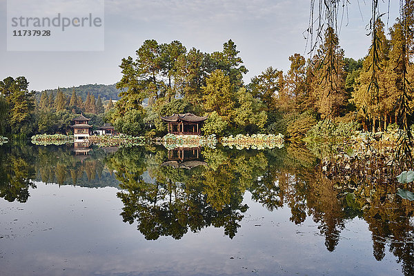 Spiegelbildliche Darstellung von Bäumen und traditionellen Gebäuden auf Westlake  Hangzhou  China