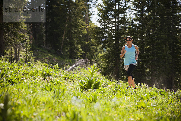 Läufer auf der Catherine's Pass-Strecke  Wasatch Mountains  Utah  USA  Wasatch Mountains  Utah  USA