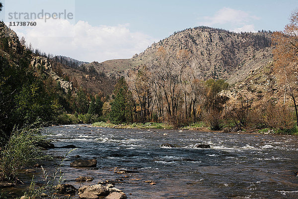 Fluss Poudre  Colorado