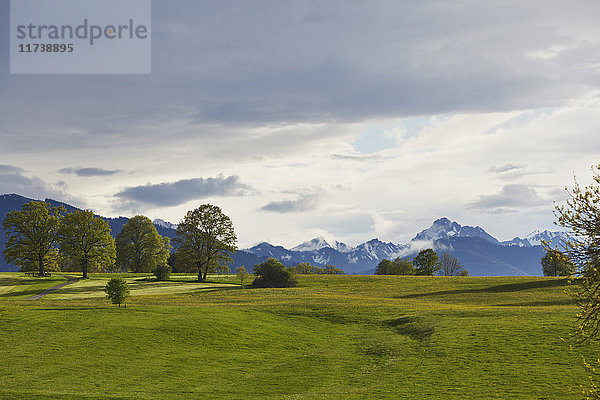Landschaftsansicht von grünen Feldern und entfernten schneebedeckten Bergen  Uffing  Staffelsee  Bayern  Deutschland