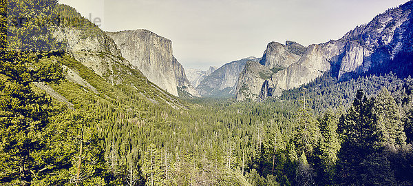 Berge und Wald  Yosemite National Park  Kalifornien  USA
