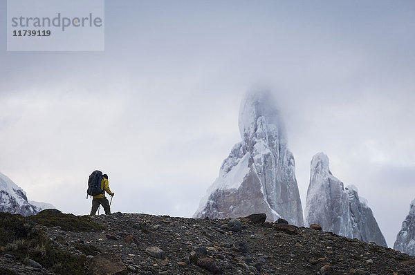 Wandern von Menschen in der Nähe von Laguna Torre  El Chalten  Los Glaciares-Nationalpark  Argentinien