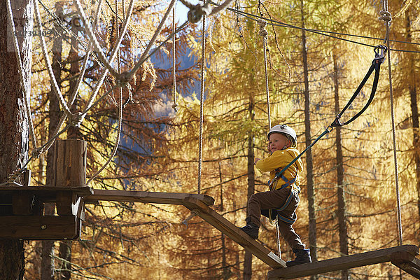 Junge klettert im Wald  am Hochseil befestigt
