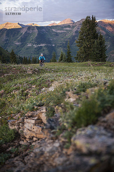 Frau auf dem Radweg 403  West Elk Mountains  Crested Butte  Colorado  USA