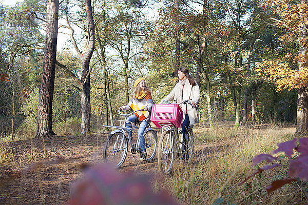 Frontansicht von Teenager-Mädchen  die im Wald spazieren gehen und Fahrräder schieben