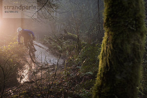 Junge männliche Mountainbiker fahren über Waldfelsen