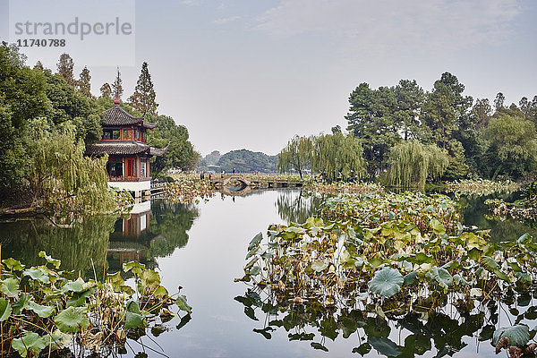 Ansicht von Wasserpflanzen und traditionellem Gebäude am Westlake  Hangzhou  China