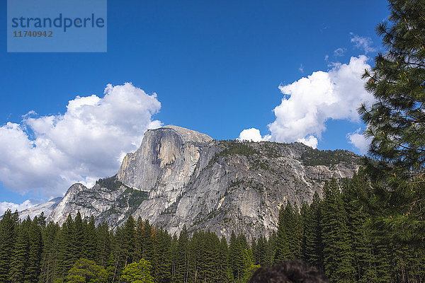 Blick auf Bergwald  Yosemite National Park  Kalifornien  USA