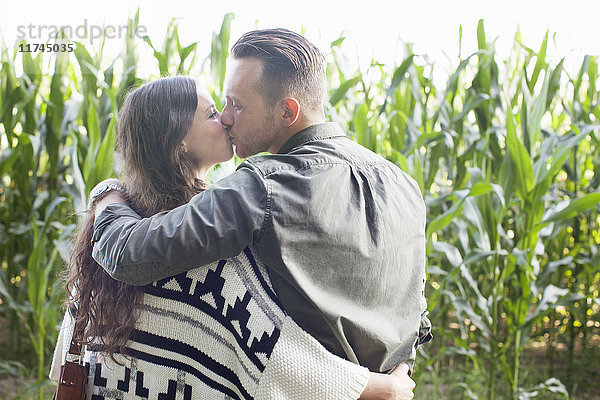 Rückansicht eines sich küssenden Paares im Maispflanzenfeld