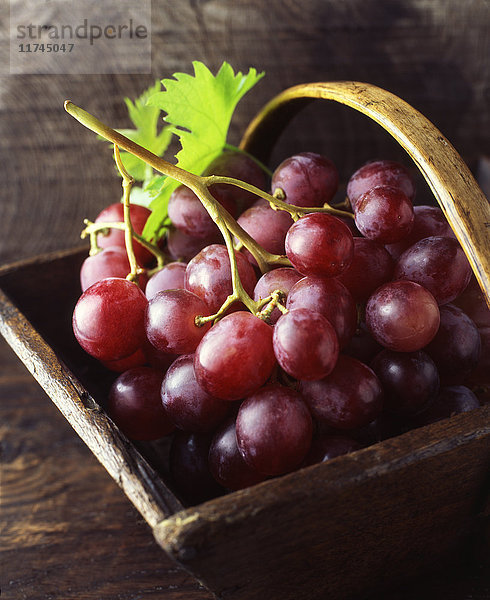 Rote Trauben im Weinlesekorb
