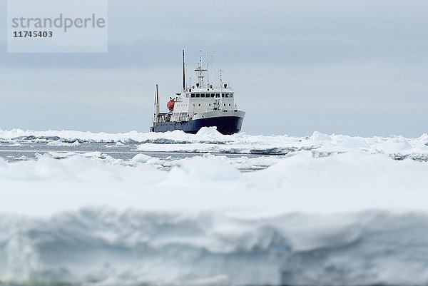 Abenteuer-Forschungsschiff Spirit of Enderby  Eisscholle im Südpolarmeer  180 Meilen nördlich der Ostantarktis  Antarktis