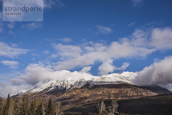 Landschaft von Anchorage  Alaska  USA