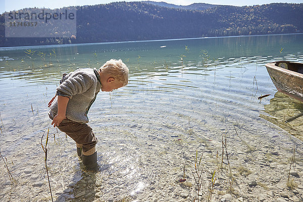 Junge paddelt und schaut auf den See hinunter  Kochel  Bayern  Deutschland