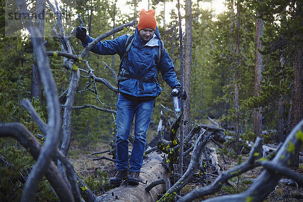 Wanderer auf umgestürztem Baum  Yellowstone-Nationalpark  Wyoming  USA