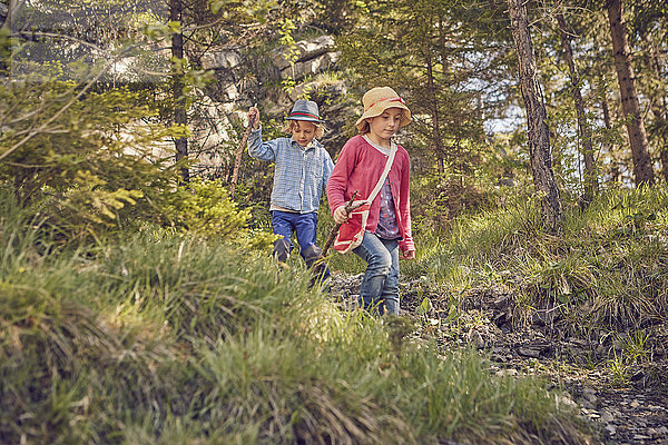 Zwei kleine Kinder erkunden den Wald