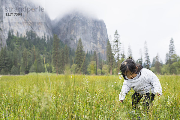 Weibliches Kleinkind kauert auf einer Wiese  Yosemite National Park  Kalifornien  USA