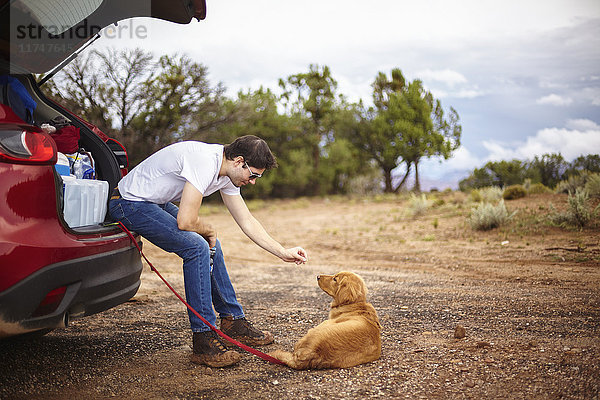 Mann spielt mit Hund hinter dem Auto  Zion  Utah  USA