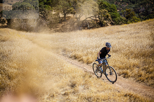 Erhöhte Ansicht eines jungen Mannes beim Mountainbiking auf einem Feldweg  Mount Diablo  Bay Area  Kalifornien  USA