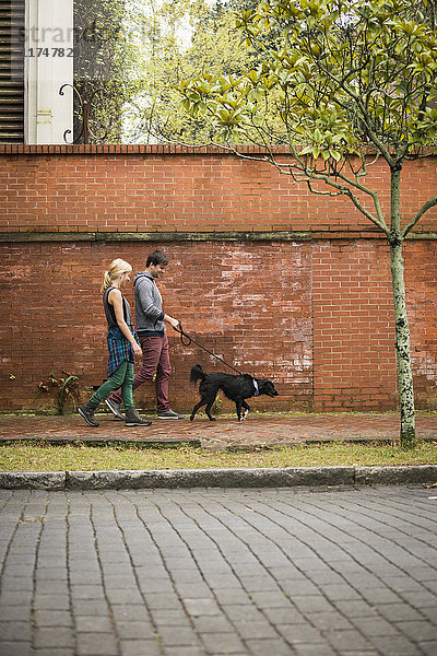 Ehepaar beim Spaziergang mit Hund auf dem Bürgersteig  Savannah  Georgia  USA