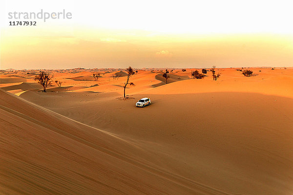 Geländewagen in der Wüste  Adu Dhabi  Vereinigte Arabische Emirate