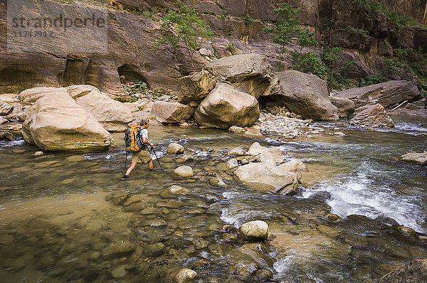 Mann mit Rucksack in den Narrows  Zion-Nationalpark  Utah  USA