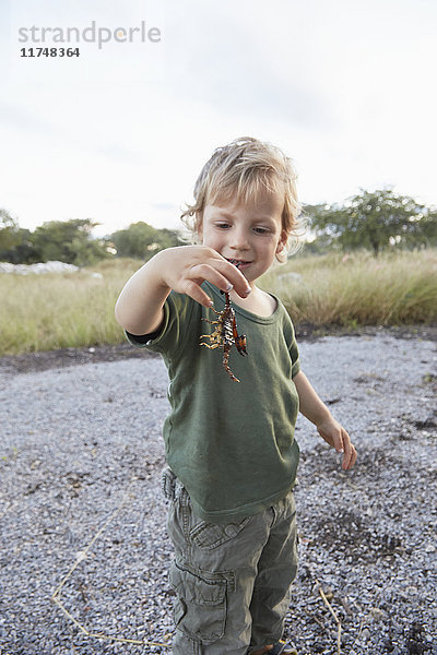 Porträt eines Jungen mit Skorpion  Otavi  Etosha  Namibia