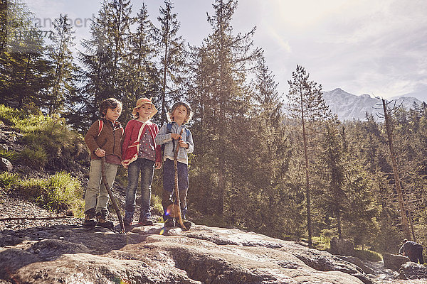 Drei Kinder stehen auf einem Felsen im Wald