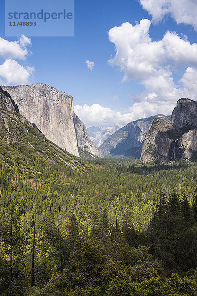 Blick auf Berge und Talwald  Yosemite National Park  Kalifornien  USA