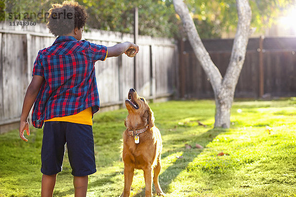 Junge hält Ball für seinen Hund im Garten hoch