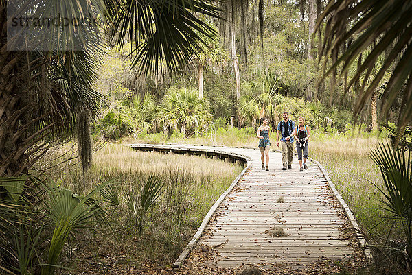 Wanderer auf dem Gehweg  Skidaway Island State Park   Savannah  Georgia  USA