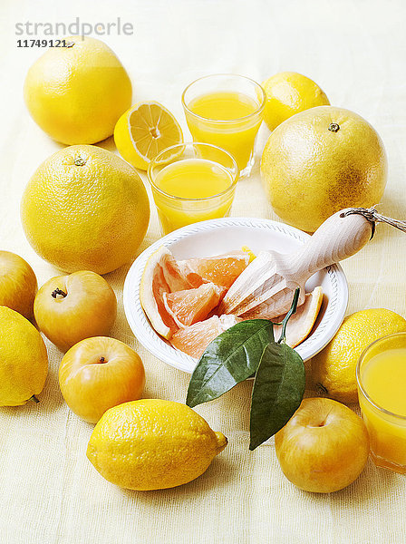 Stilleben von frischen Pampelmusen mit Zitronen und Entsafter