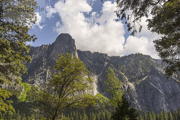 Blick auf Berge und Bäume  Yosemite National Park  Kalifornien  USA
