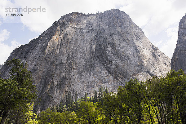 Blick auf die Berge  Yosemite National Park  Kalifornien  USA