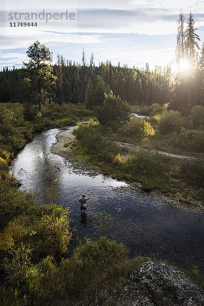 Mann beim Fliegenfischen im Fluss  in der Nähe des Lolo-Passes  Bitterroot Mountains  Missoula  Montana  USA