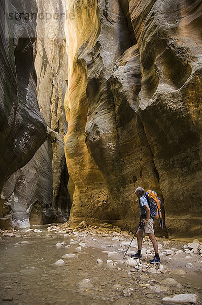 Männlicher Wanderer mit Rucksack in den Narrows  Zion-Nationalpark  Utah  USA